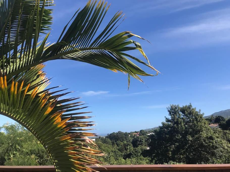 Cocooning Tropic Studio Avec Jacuzzi Privatif Saint-Louis Esterno foto